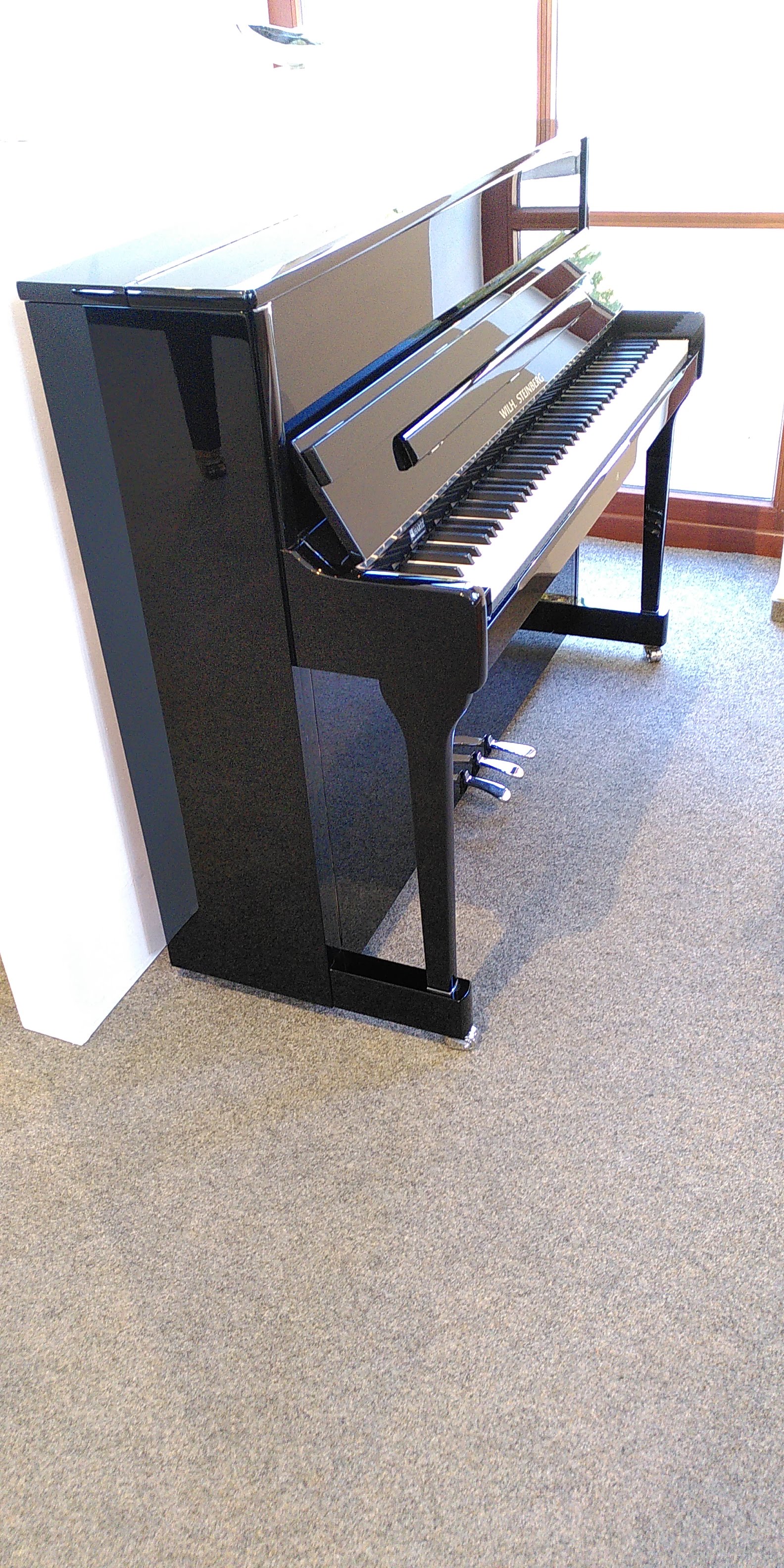 WilhsteinbergS117
